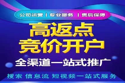 SEM优化策略：案例解读成功之道